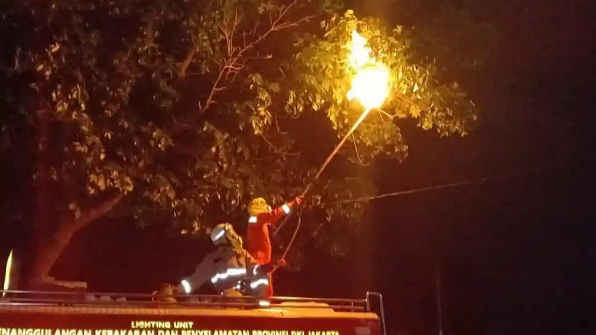 Terima Laporan Warga, Damkar Jakarta Timur Sudah Evakuasi 335 Sarang Tawon Ndas