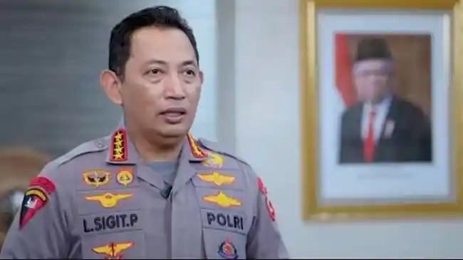 Tribun