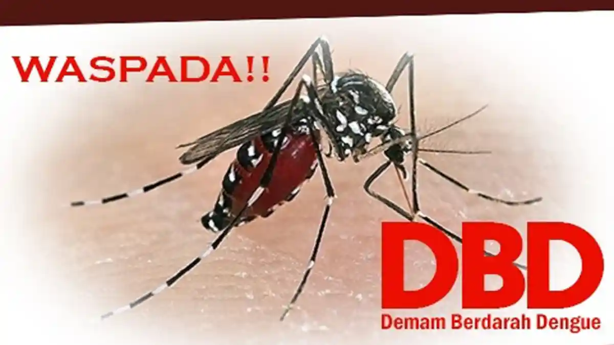 Pemkab Kuansing Riau Sempat Tetapkan Status Siaga Satu DBD