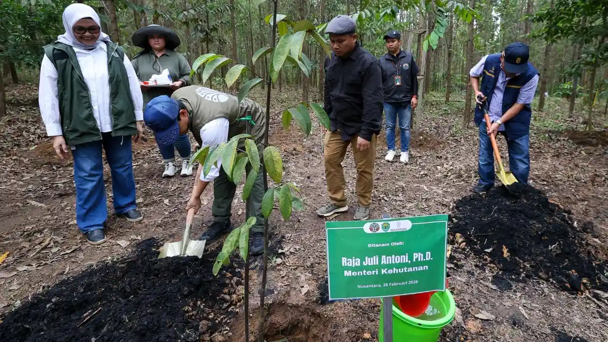 IKN Tawarkan Wisata Tanam Pohon saat Libur Paskah 2026, Kuota 150 Orang per Hari