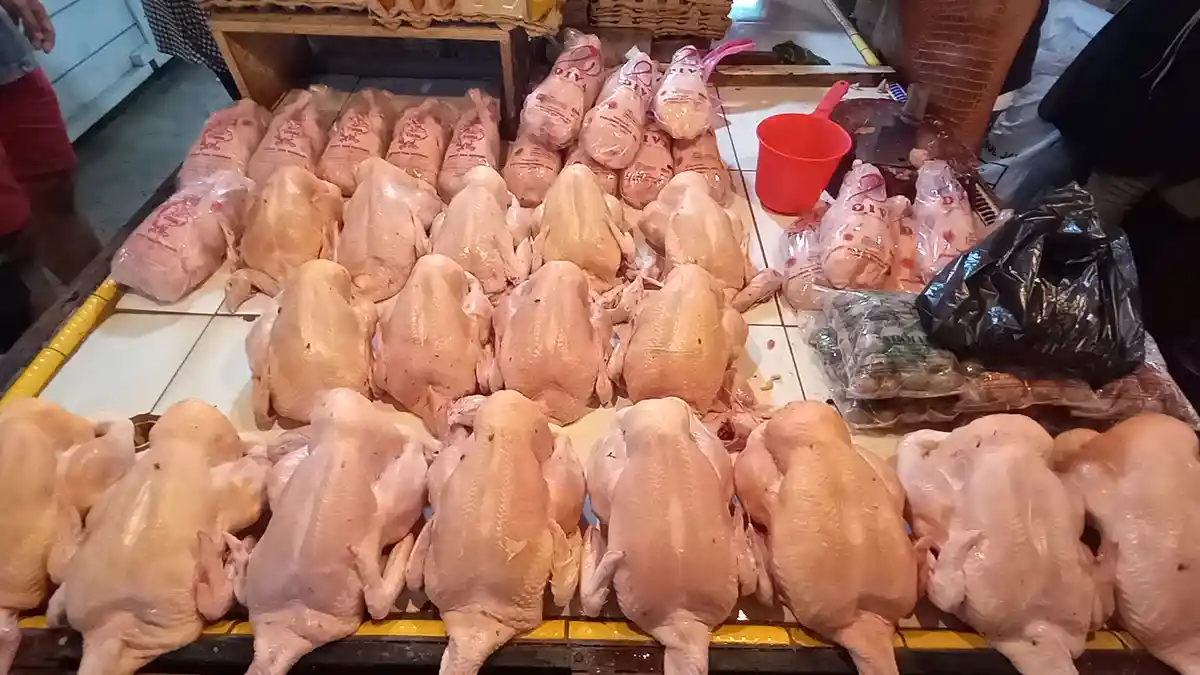 Harga Ayam Potong di Pasar Tradisional Youtefa Abepura Jayapura Normal