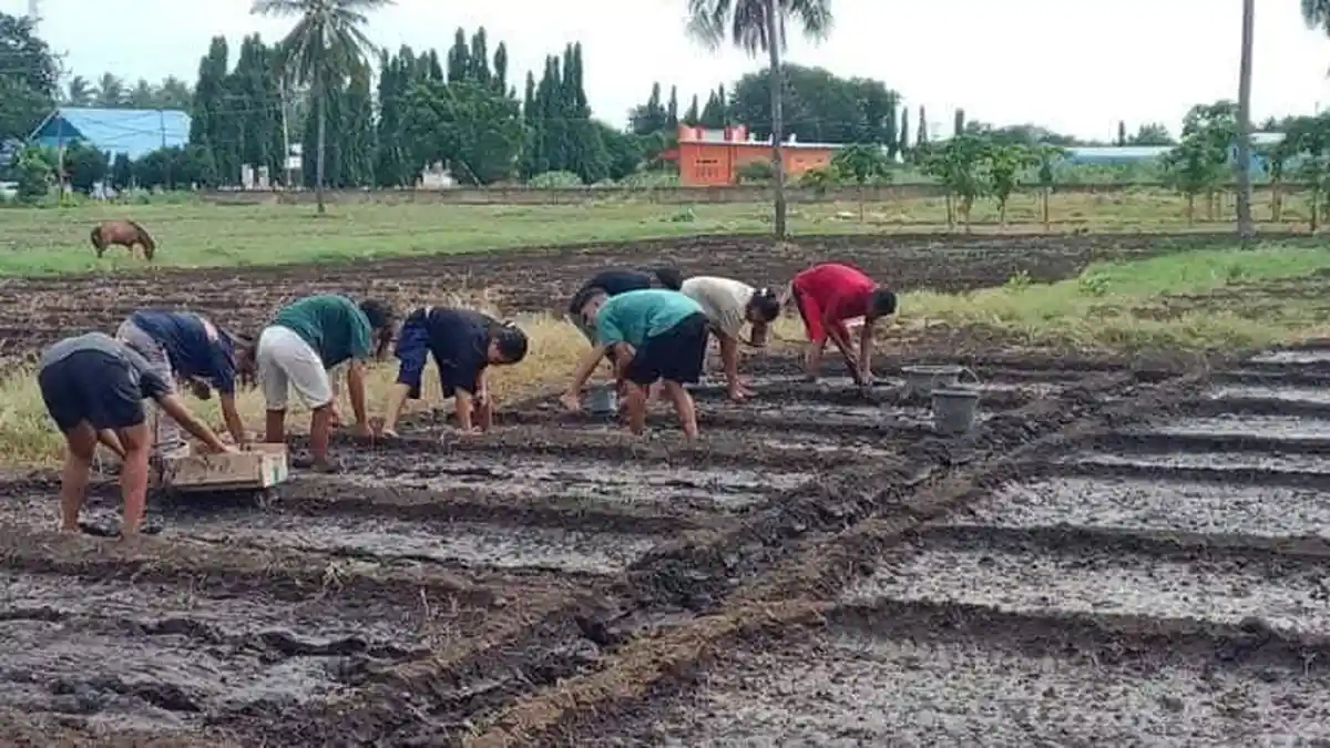 Prodi Agroteknologi FTP3 Unipa Maumere Raih Hibah Program Kompetisi Kampus Merdeka 2025