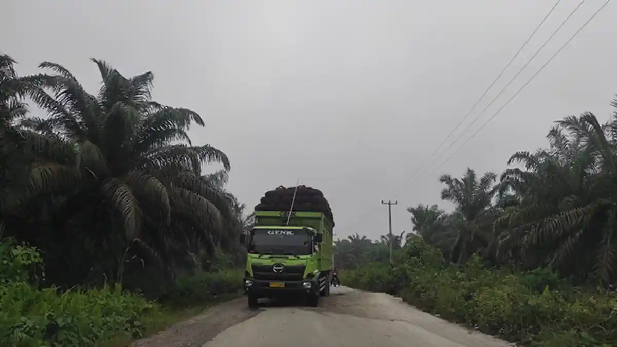 Jalan Desa Bencah Kelubi Rusak Parah,Sering Dilewati Truk Sawit,Pemprov Riau Beri Peringatan Begini