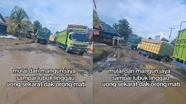 Tribun