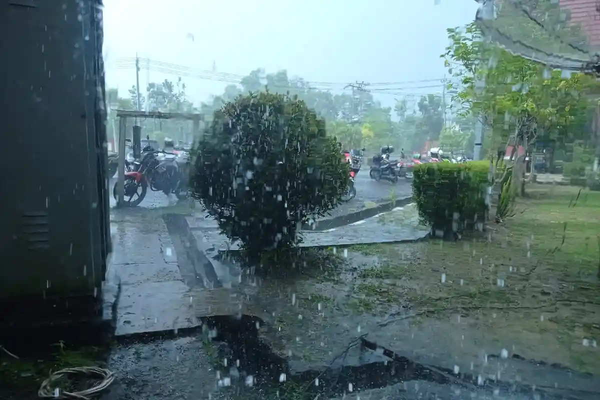 Prakiraan Cuaca Kaltara 19 November 2025, Berpotensi Hujan Ringan hingga Sedang