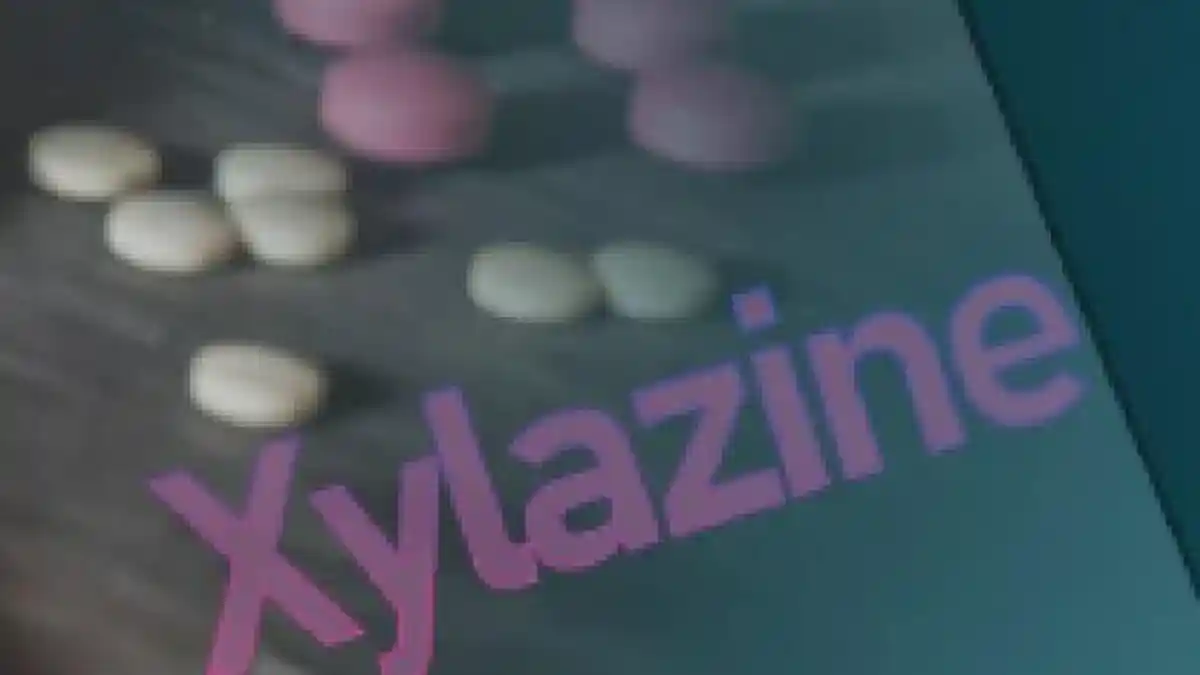 Pakar: Xylazine yang Bikin Warga AS Jadi Zombie Merupakan Obat Penenang Hewan