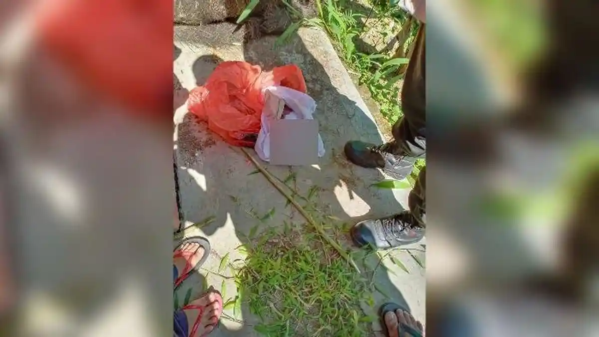 Jasad Bayi Terbungkus Plastik Merah Sudah Diseret-seret Anjing