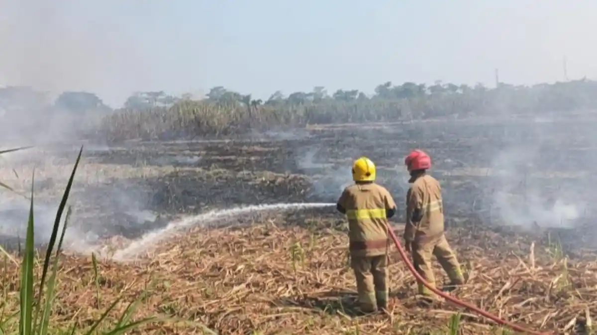 Lahan Tebu di Ngancar Kediri Terbakar, Kerugian Ditaksir Capai Rp 100 Juta