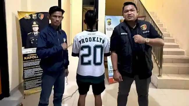 Tribun