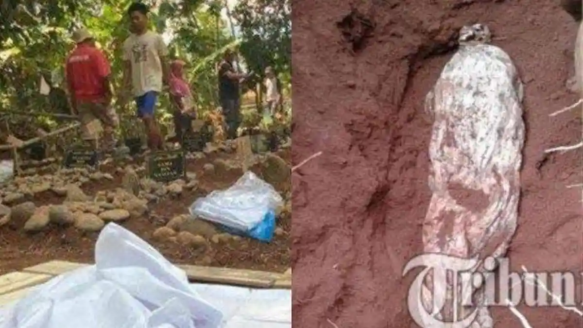 Begini Amalan dan Silsilah 7 Jasad Utuh dan Wangi di Bogor Semasa Hidup, Ada yang Rajin Sedekah