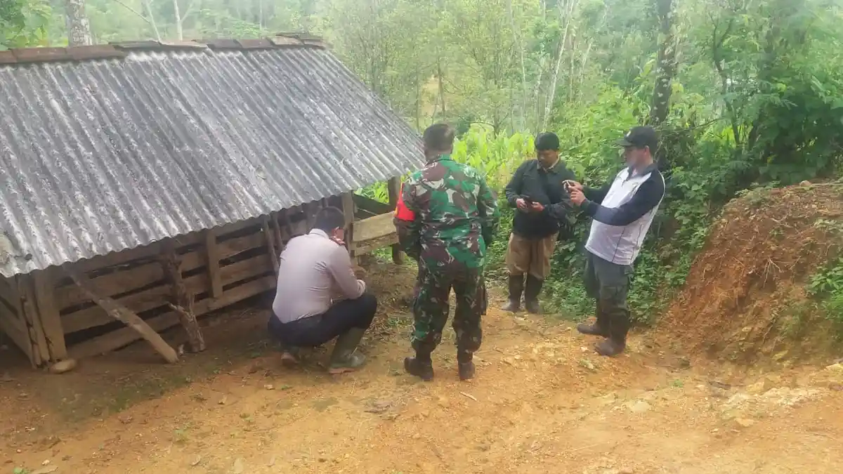 28 Kambing di Wonogiri Mati Tak Wajar, Diduga karena Serangan Anjing Hutan