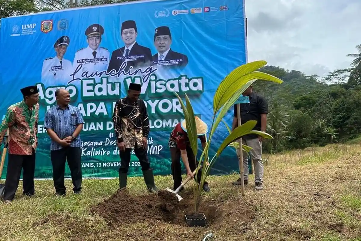 Desa Selomanik Wonosobo Kembangkan Agro Edu Wisata Kelapa Kopyor untuk Majukan Ekonomi Warga