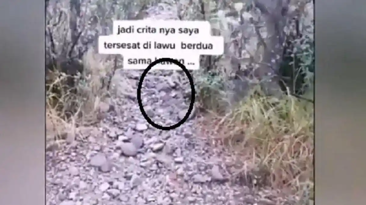 Pendaki Tersesat di Gunung Lawu Berhasil Selamat Setelah Dituntun Burung Jalak, Ini Kata Relawan