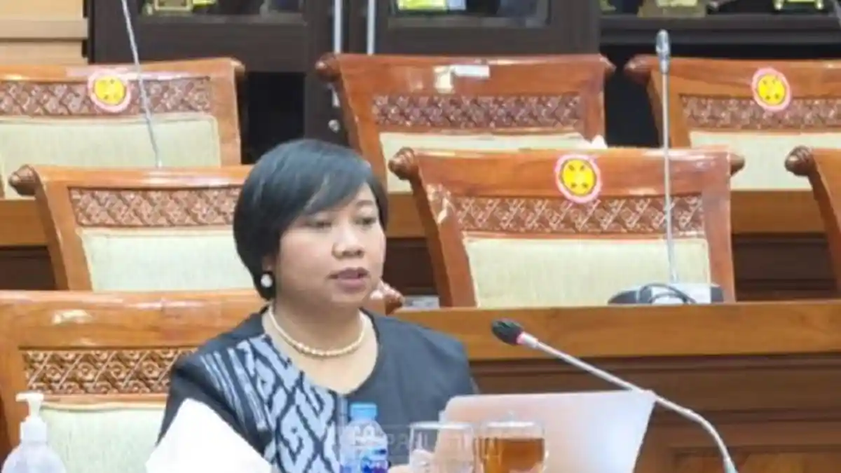 Biodata Anis Hidayah Ketua Komnas HAM yang Baru Gantikan Atnike Nova Sigiro