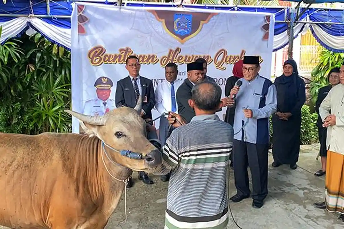 30 Sapi Disalurkan ke Masjid-masjid, Bantuan Hewan Kurban Pemkot Sorong Jelang Idul Adha 1445 H