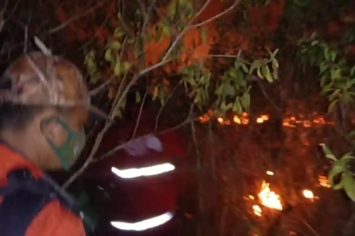 40 Personel Mengatasi Kebakaran Lahan TNWK Pakai Tangki Semprot Manual