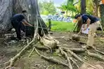 DPP ACTION dan Museum Susoh Telusuri Jejak Peradaban di Puloe Ie Nagan Raya