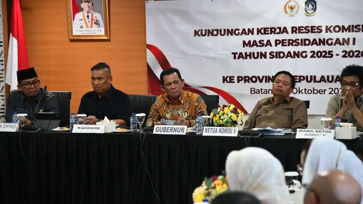 Gubernur Ansar Minta Dukungan Pembangunan Jembatan Batam - Bintan