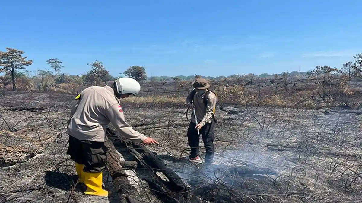 BPBD Sambas Mencatat 399 Hektar Lahan Terbakar Akibat Karhutla