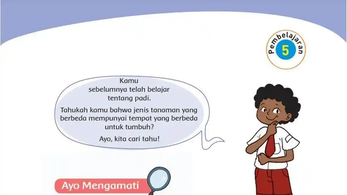 Kunci Jawaban Tema 3 Halaman 32 33 34 35 36 37 38 39 Buku Tematik Subtema 1 Kelas 4 SD