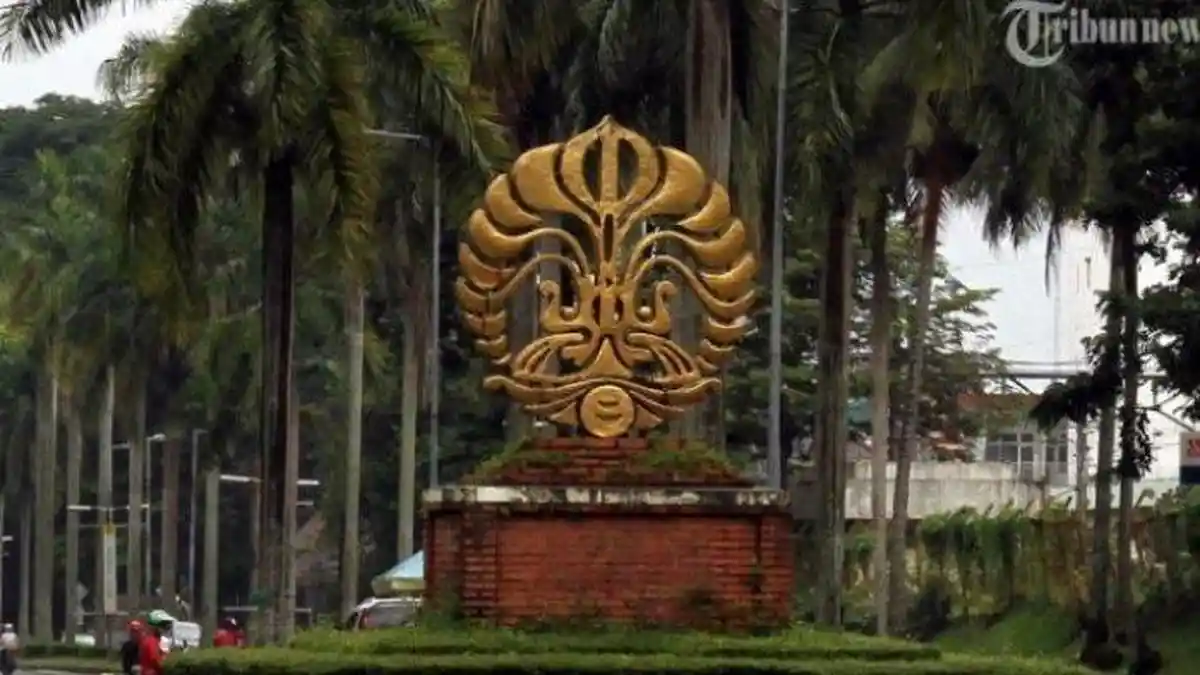 Ingin Kuliah di Hubungan Internasional Universitas Indonesia? Alumni Siap Bantu, Berbagi Tips