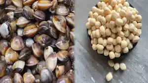 Kuliner-Ketapang1304.jpg