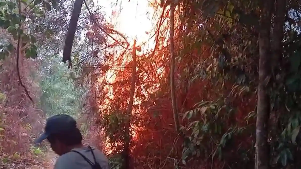 Karhutla 3 Meter Hanguskan Wisata Batu Dinding Kukar