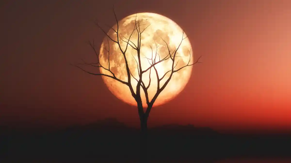 Arti Mimpi Melihat Bulan Purnama, Pertanda Baik atau Buruk?