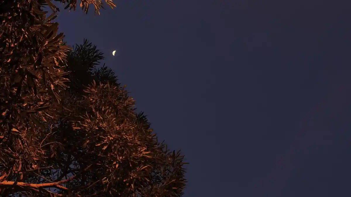 Prakiraan Cuaca Besok Sabtu, 28 Februari 2026: Kabupaten Gorontalo hingga Boalemo Hujan Ringan