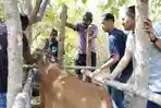 Senator-AWK-hadir-dan-mendampingi-pembuatan-kandang-jepit-bersama-para-peternak.jpg