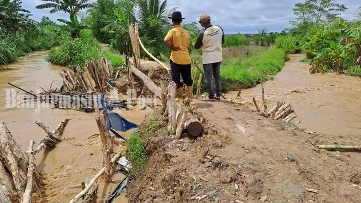 Tanggul Irigasi Rawa di Raya Belanti Tapin Jebol, Akses ke Lahan ...