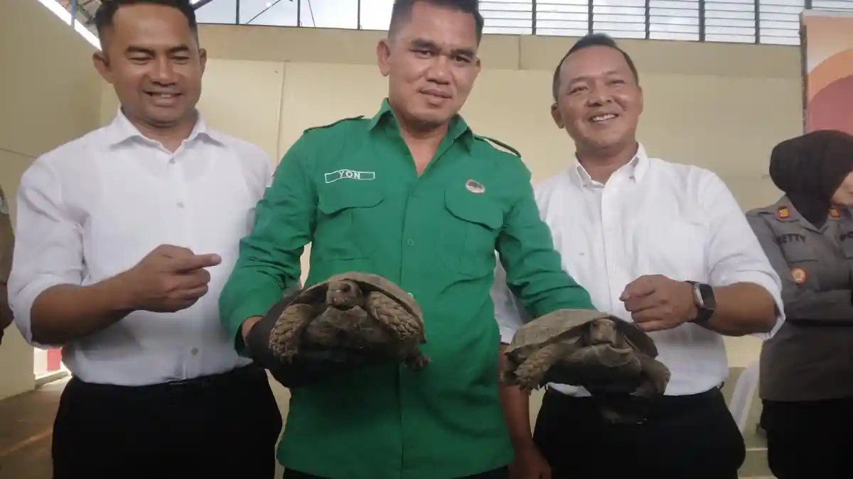 Polda Kepri Ungkap Modus Penyelundupan Hewan ke Luar Negeri: Batam Jadi Tempat Transit