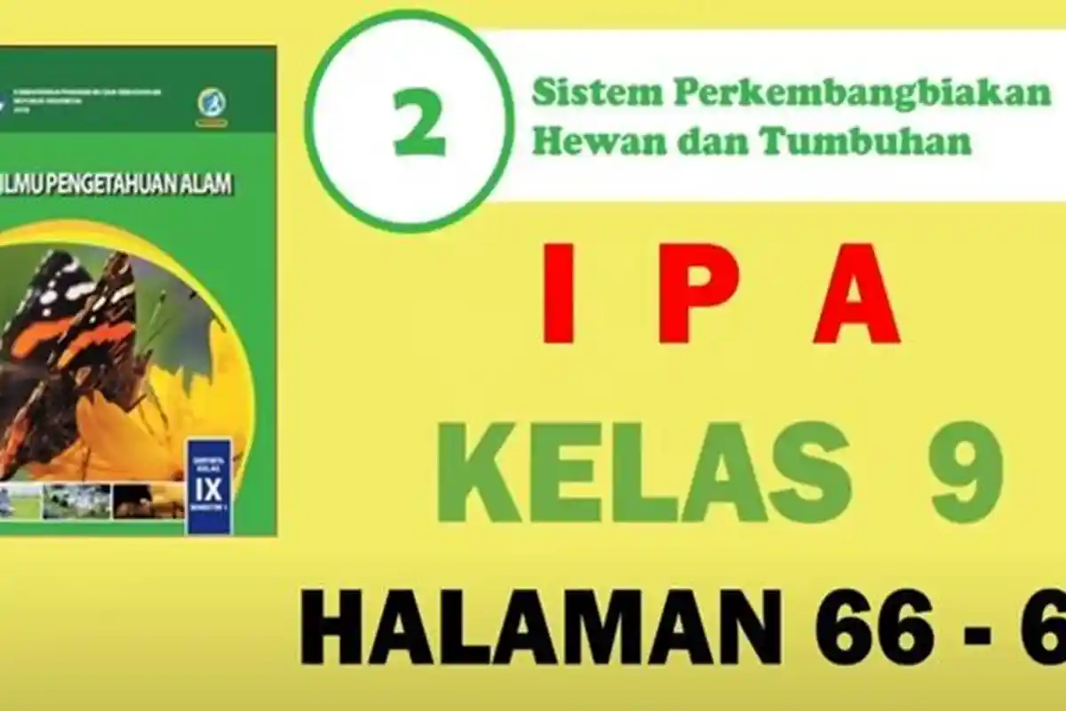Kunci Jawaban Soal IPA Kelas 9 SMP Halaman 66-67 Semester 1 Kurikulum 2013, Aktivitas 2.3