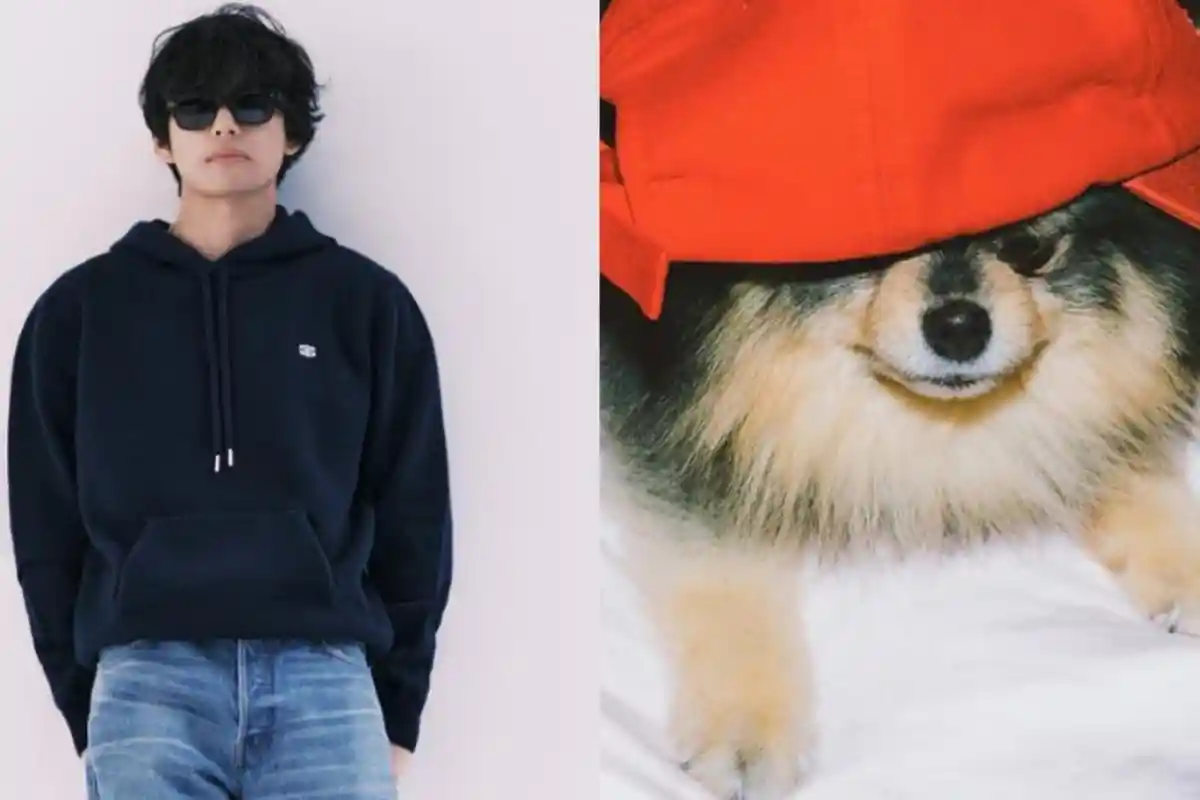 KONDISI Memprihatinkan Anjing V BTS, Kemungkinan Hidup Kecil Usai Jalani Operasi: Tapi Dia Berjuang