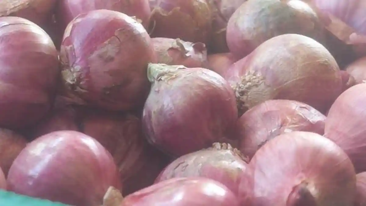Bawang Bikin Mata Makin Pedih, Harganya Kini Tembus Rp 65 Ribu/Kg di Langsa