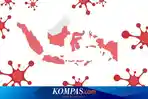 ilustrasi-covid-di-indonesia.jpg