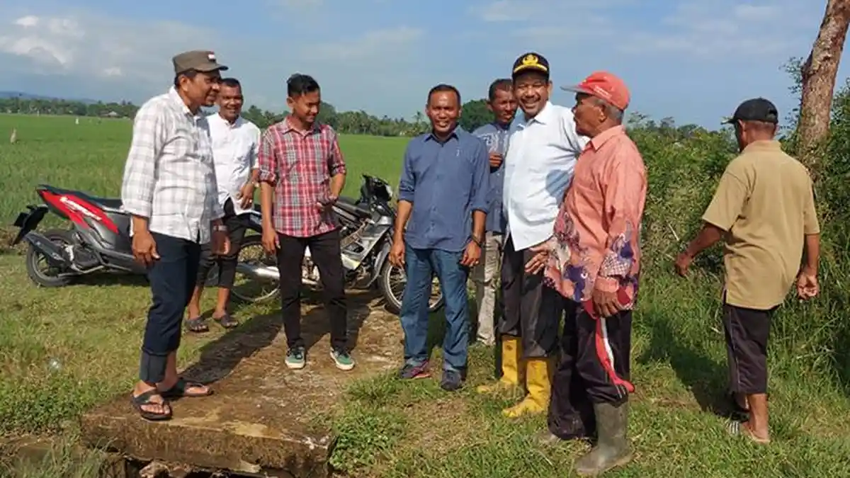 32,5 Ha Sawah di Pijay Tergenang Banjir, 2,5 Ha Padi Terancam Gagal