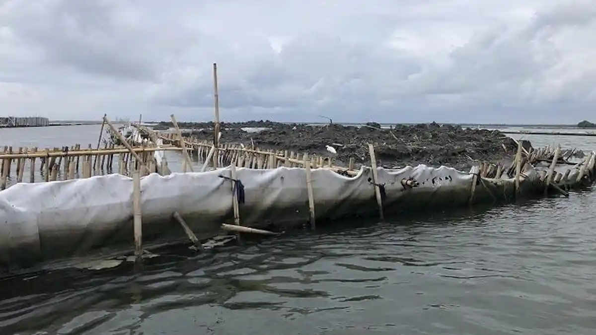 Pagar Bambu Panjang Dua Kilometer Berdiri di Perairan Pesisir Laut Kawasan Bekasi, Untuk Apa?
