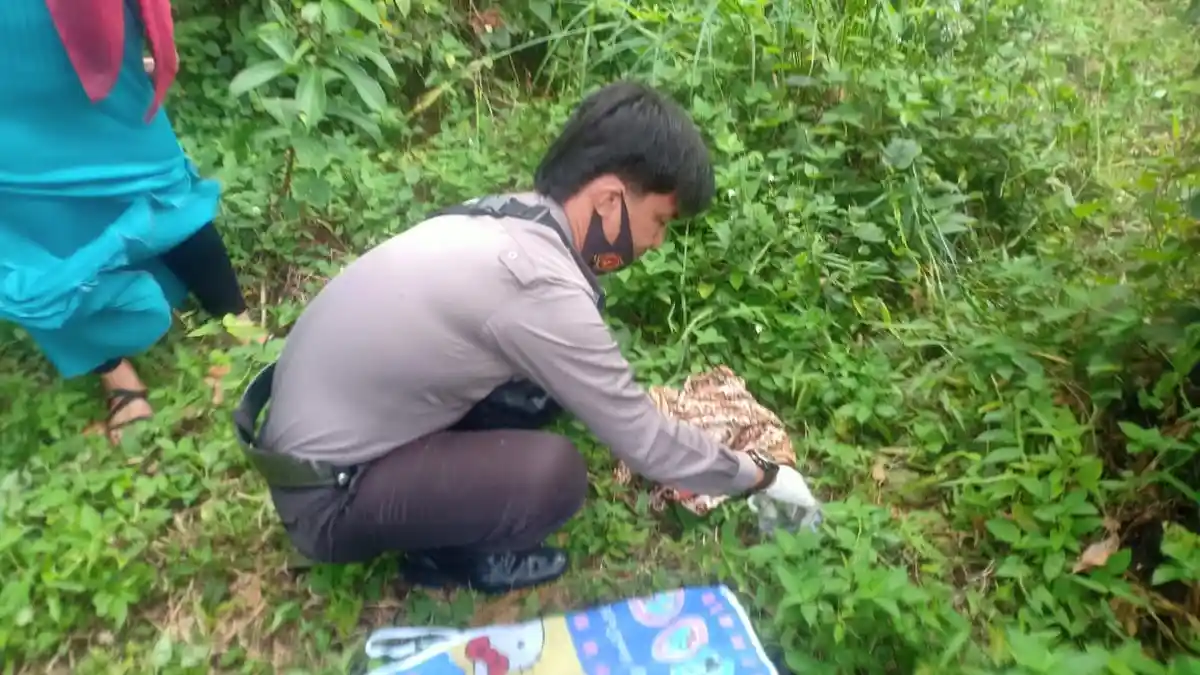 Sedang Nyabit Rumput, Remaja di Kuansing Temukan Bayi Tergeletak di Semak Belukar