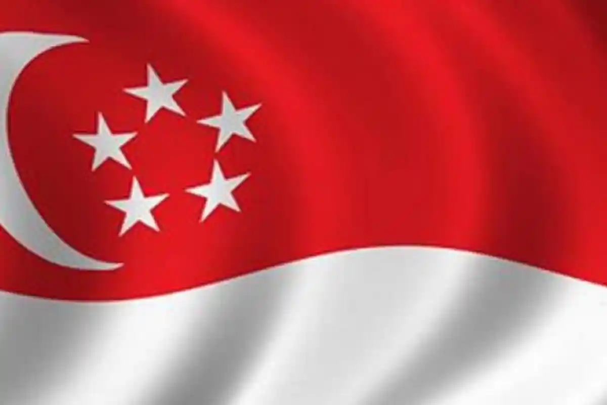 Tak Disangka, Ternyata Singapura Memang Contek Warna Bendera Indonesia, Alasannya Tak Terduga!