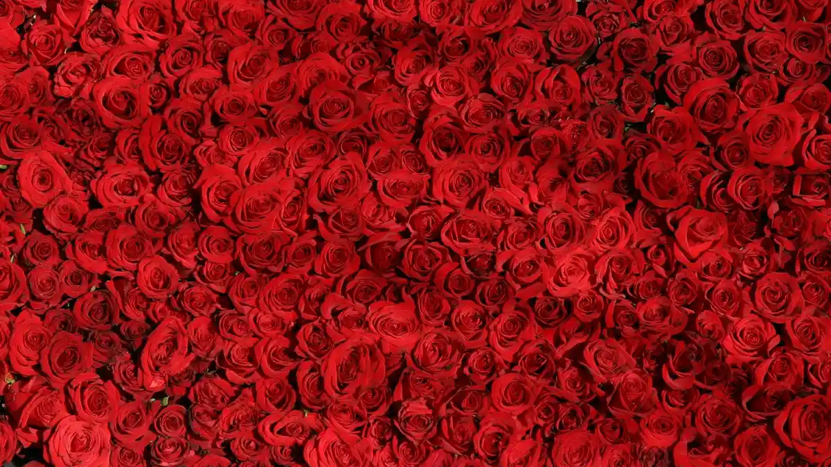 Arti Mimpi Warna Merah, Jadi Simbol Kekuatan