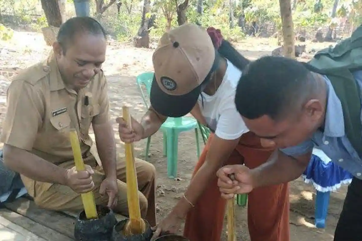 Penyadap Gula di Desa Daudolu Rote Barat Laut Harus Pertahankan Kualitas
