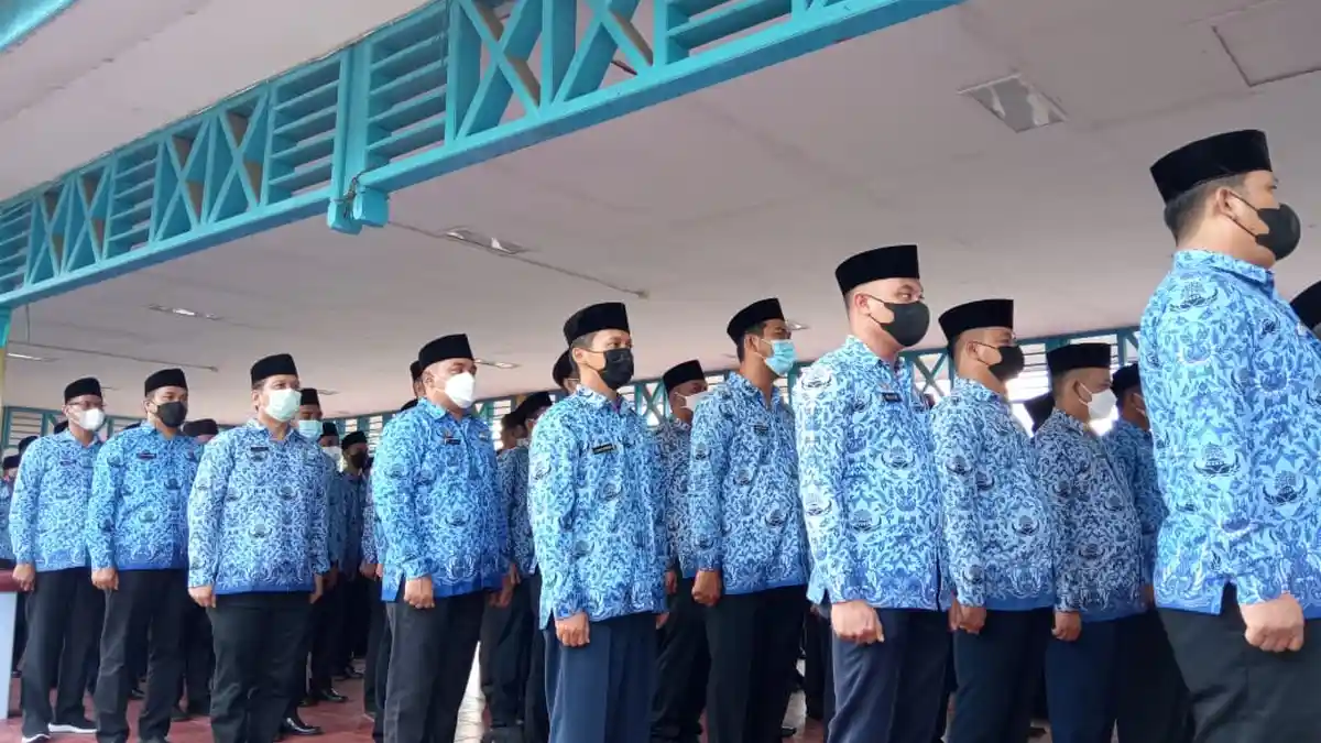 Info CPNS Kaltara, Gegara Tak Lulus Seleksi Administrasi, 171 Pelamar Ajukan Sanggahan ke BKD