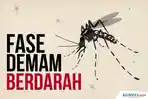 ribuan-warga-ntt-terserang-dbd-15-orang-diantaranya-meninggal-dunia.jpg