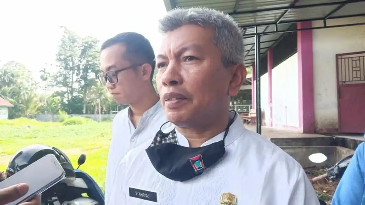Dinas Pertanian akan Larang Sapi Asal Sijunjung Masuk Padang, Antisipasi Penularan PMK