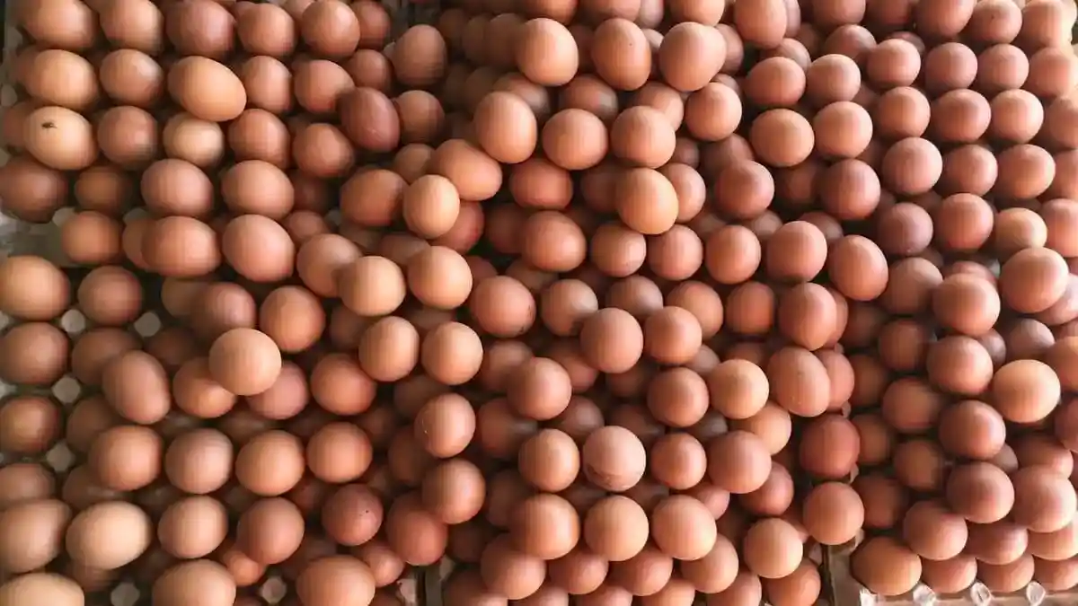 Harga Telur Ayam Merangkak Naik, Rp 75 Ribu per Rak di Pasar Binaiya Masohi
