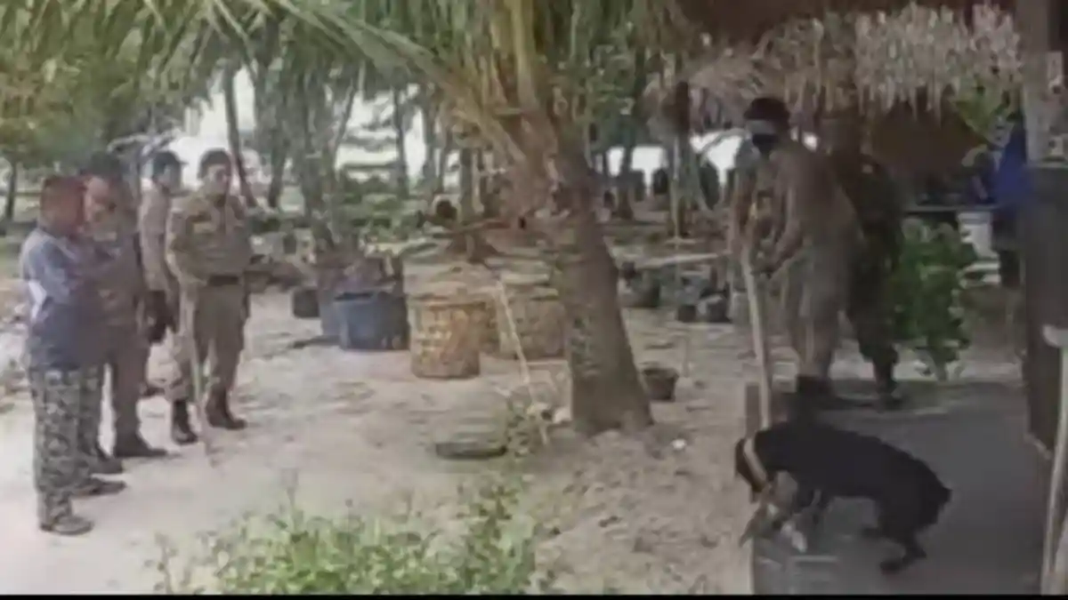 Heboh Kasus Anjing Mati dari Pulau Banyak, Ini Penjelasan Satpol PP Aceh Singkil