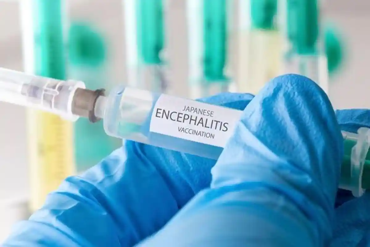 Guru Besar UGM Dukung Vaksinasi Japanese Encephalitis, Disertai dengan PHBS