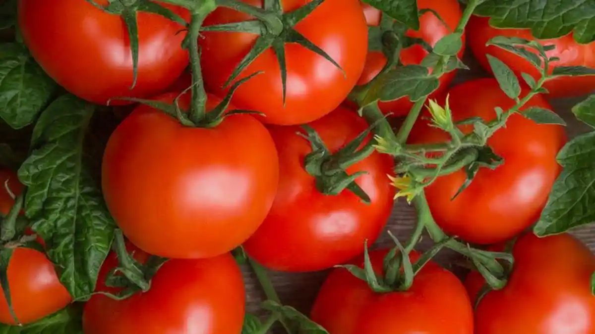 Daftar Buah dan Sayur yang Banyak Mengandung Vitamin C Selain Jeruk