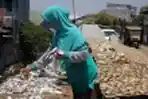 Musim Panas Sumber Pendapatan